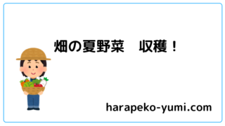 畑の夏野菜収穫！と書いてあります。野菜を持った女性のイラストが入っています。