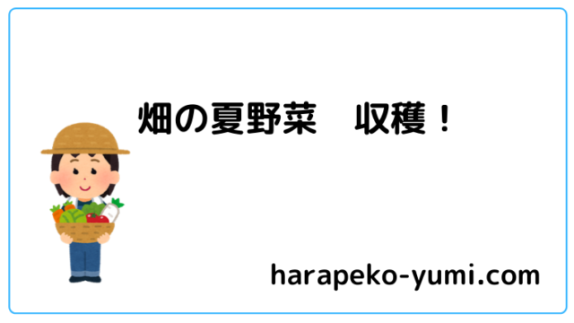 畑の夏野菜収穫！と書いてあります。野菜を持った女性のイラストが入っています。
